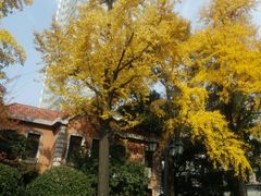 -老洋房花园饭店(绍兴路店)