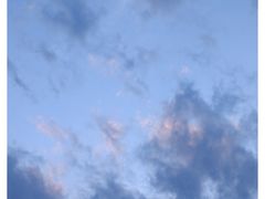 -贵州森林野生动物园