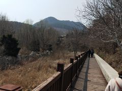 -金龙寺国家森林公园