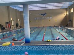 -鲸灵公元游泳中心