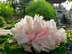 -国家植物园南园