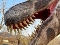 -西部长青自然儿童乐园