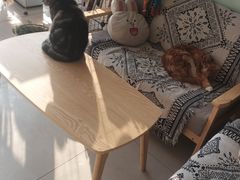 -平行世界·猫咖(首经贸店)