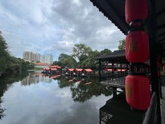 -侨美·唐荔园·40年地道粤菜