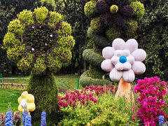 -上海共青森林公园