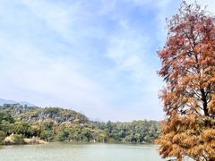 -星湖旅游景区七星岩