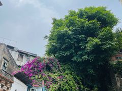 -西关84·History·Art·Cafe