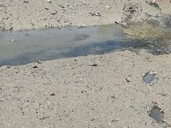 -北海金海湾红树林生态旅游区