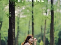 -艾米稻香小镇