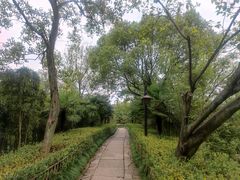 -西溪国家湿地公园