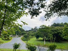 -东莞植物园