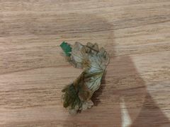 面汤里的烂香菜-厝内小眷村(天河南一路店)