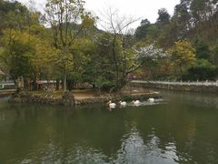 -黔灵山公园