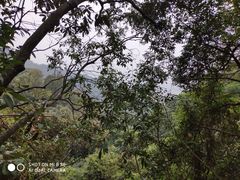 -牛鱼嘴原始生态风景区