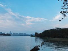 -长广溪湿地公园