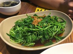 -MR鹅外