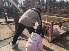 -合肥滨湖国家森林公园