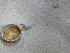 -上海大自然野生昆虫馆