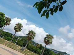 -八婆婆烧仙草(曾厝垵店)