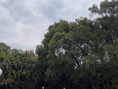 -珠海圆明新园