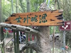 -武陵山森林公园