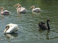 -西安秦岭野生动物园