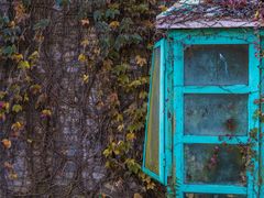 -白塘生态植物园