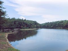 -象山森林公园