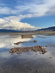 -纳帕海依拉草原