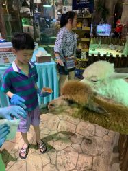 -宝燕乐园(闵行旗舰店)