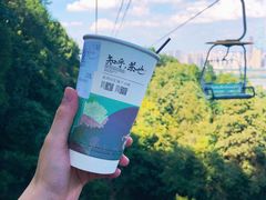 -茶颜悦色(岳麓山顶店)