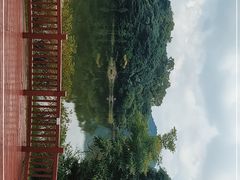 -广州市石门国家森林公园