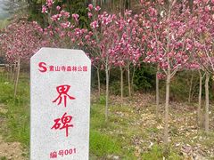 -素山寺森林公园