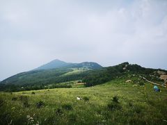 -白草畔自然风景区