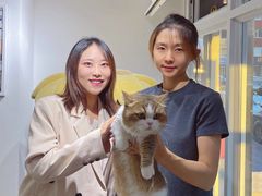 -青奢宠物·青奢猫舍