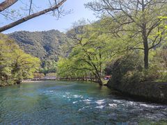 -四明山国家森林公园