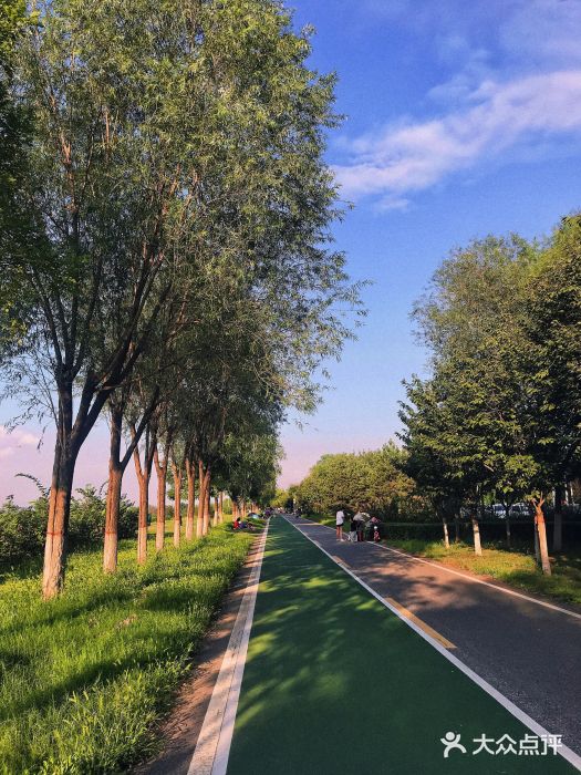 渭河城市绿地运动公园图片