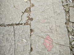 -西湖风景区十里琅珰-五云山