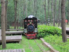 -合肥滨湖国家森林公园