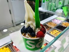 -Salud撒露欧洲冻酸奶(蓝色港湾店)