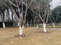 -后襄河公园