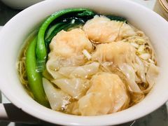 -南枝记