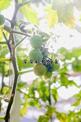 -塔元庄景区