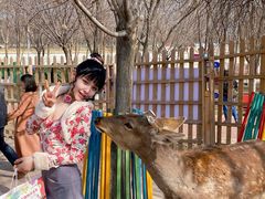 -水上乐园·欢乐世界