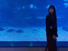 -福州罗源湾海洋世界旅游区