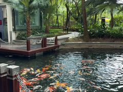 -Waterfall瀑布湾优健源(华侨城店)
