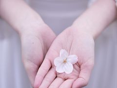 -龙美术馆(西岸馆)