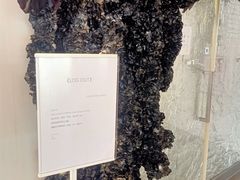 -HELEN FLORAL DESIGN(海上世界文化艺术中心店)