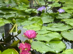 -国家植物园南园