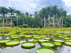 -中国科学院西双版纳热带植物园